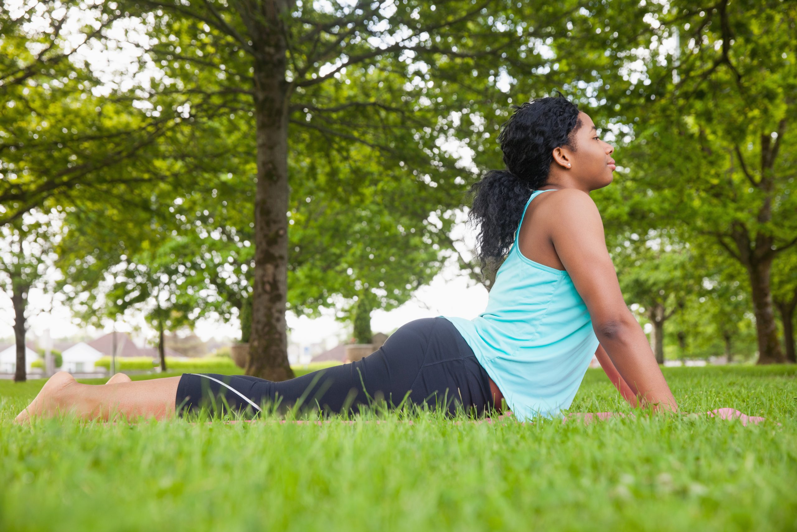 Building Spinal Strength from Cobra Pose to Upward Facing Dog