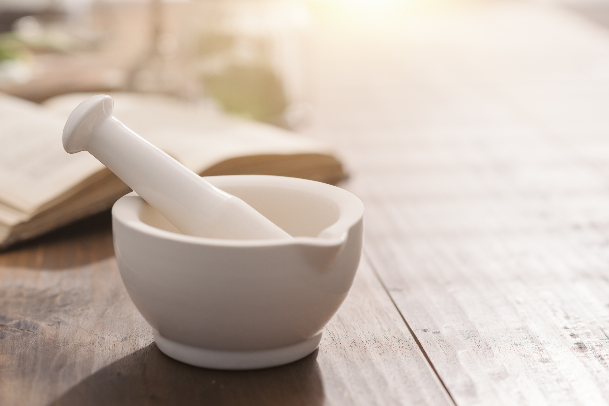 Ayurveda book and mortar and pestle